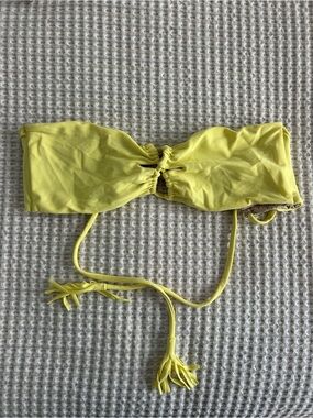 Acacia lumahai in yellow size large